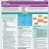 English Fundamentals 4